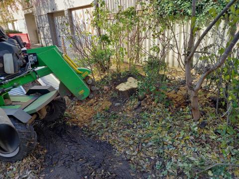 Tuskómarás Laski FH500 tuskómaró szűk udvarok, parkok, közterületek tuskóforgácsolása Tuskómarás Laski FH500 tuskómaró szűk udvarok, parkok, közterületek tuskóforgácsolása