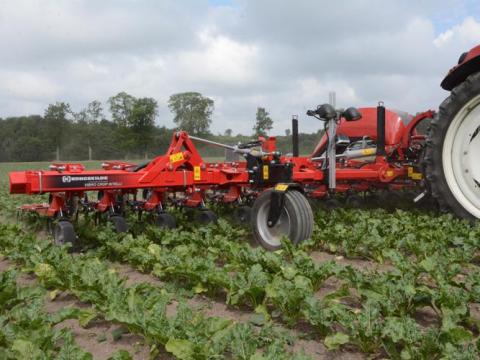 Kongskilde Vibro Crop sorközművelő kultivátorok a Hanki-Ker Kft. kínálatában Kongskilde Vibro Crop sorközművelő kultivátorok a Hanki-Ker Kft. kínálatában