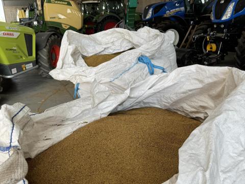 8 tonna bio,  ökológiai Szarvasi AS-3 lucernamag nagy tételben – tisztaság: 96%,  csírázóképesség: 80% MENNYISÉGI KEDVEZMÉNY