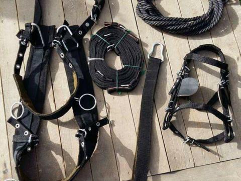 Gurtniból készült komplett hám eladó 1 lovas részére