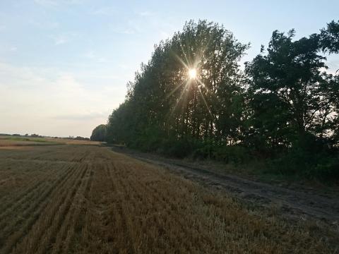 Szántóföldet bérelnék Szántóföldet bérelnék