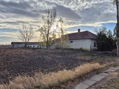 Eladó a képen látható tanya és állattartó telep Eladó a képen látható tanya és állattartó telep