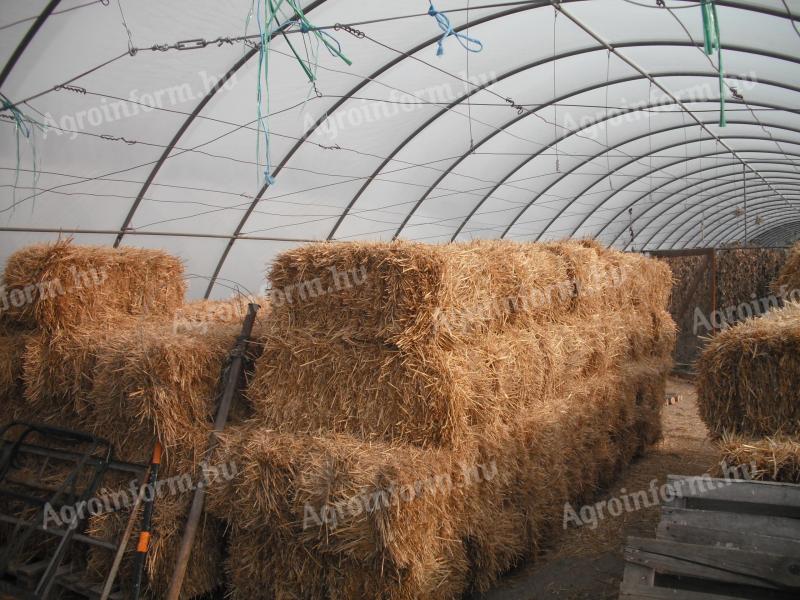 Szalmabála eladó - kocka szalmabála, 80 db