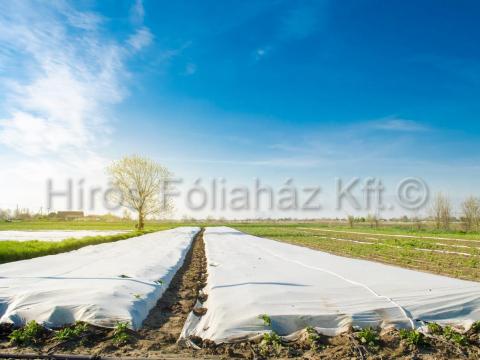 Fátyol fólia,  növénytakaró fátyolfólia 19gr/m2,  23gr/m2,  30gr/m2 Fátyol fólia,  növénytakaró fátyolfólia 19gr/m2,  23gr/m2,  30gr/m2