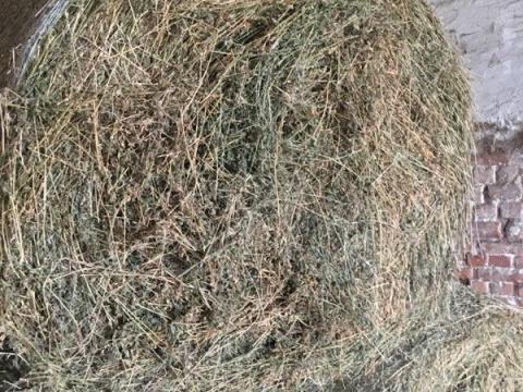 Lucernaszéna körbálás eladó Lucernaszéna körbálás eladó