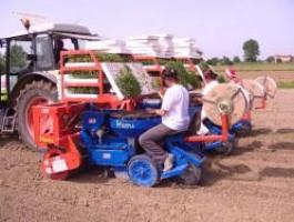 Ferrari Multipla ültetőgép