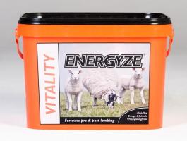 Javítsa fel a juhait a következő módon termékenyítésre