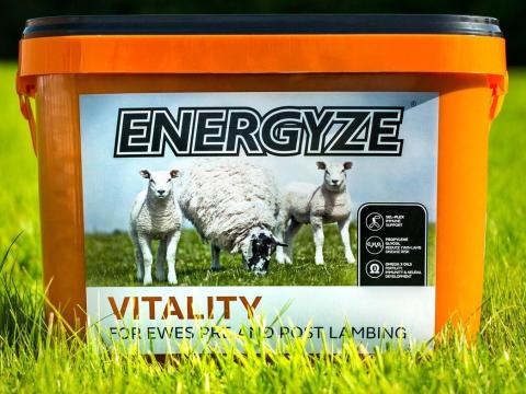 Hogyan lehet több báránya? Olvassa el ezt a hirdetést Hogyan lehet több báránya? Olvassa el ezt a hirdetést