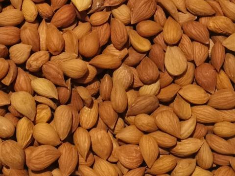 Sárgabarackmag eladó postai utánvéttel Sárgabarackmag eladó postai utánvéttel