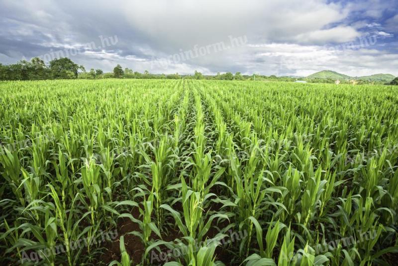 Állatgondozó és gépkezelő állás lakhatással pályakezdők jelentkezését is várjuk