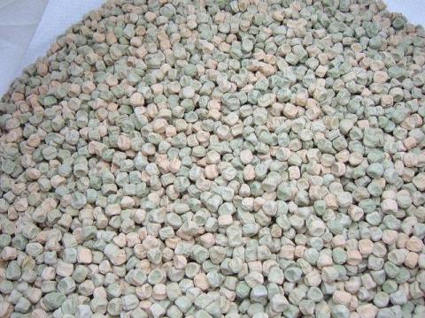 Takarmányborsó eladó Debrecenben