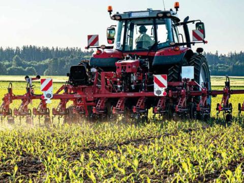 Precíziós Lemken / Steketee EC-Weeder + IC-Light Precíziós Lemken / Steketee EC-Weeder + IC-Light