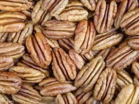 Pekan,  para,  makadamia dió Pekan,  para,  makadamia dió