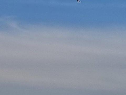 Termőföldet bérelnék magas áron Termőföldet bérelnék magas áron