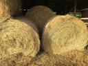 Széna eladó – friss, idei réti széna lovardáknak, rakodással