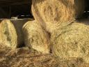 Széna eladó – friss, idei réti széna lovardáknak, rakodással