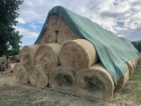 Frissen bálázott hegyvidéki széna Frissen bálázott hegyvidéki széna