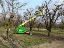 VIBO LIFT–E Önjáró hidraulikus kosaras metszőállvány