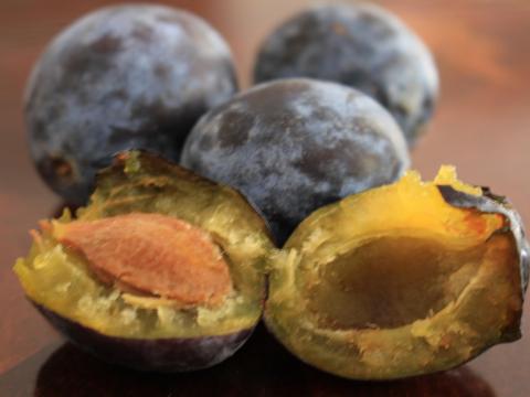 Bio szilva termelőtől eladó Bio szilva termelőtől eladó