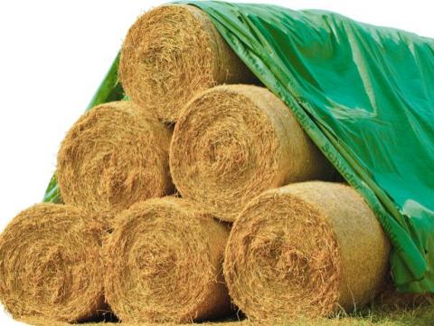 Termény- és Kazaltakaró Termény- és Kazaltakaró