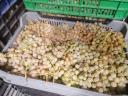 Pölöskei muskotály csemegeszőlő eladó Abasáron