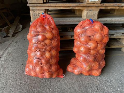 Vöröshagyma Vöröshagyma