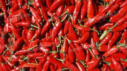Fűszerpaprika termelőtől nagy tételben eladó