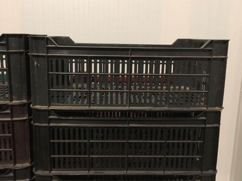 Műanyag 20-as rekesz eladó jó állapotban Műanyag 20-as rekesz eladó jó állapotban