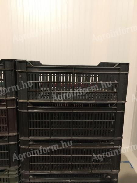 Műanyag 20-as rekesz eladó jó állapotban