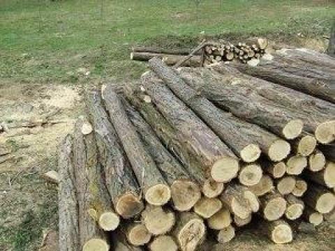 Akác oszlop eladó 3 méter hosszban Győrben és környékén