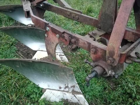 3 fejes eke eladó 3 fejes eke eladó