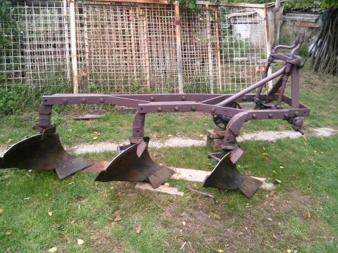 3 fejes eke eladó 3 fejes eke eladó