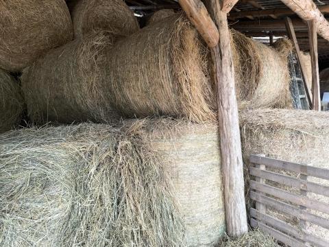 Eladó körbálás széna Eladó körbálás széna