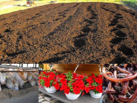 A Komposzt Trágya: talajápoláshoz,  palántákhoz,  üvegházba,  csemetékhez,  magokhoz,  oltványhoz,  vetőmaghoz,  gyümölcsfákhoz,  fóliaházba,  magaságyáshoz,  melegházba,  kertbe és gyökeres növényhez