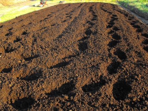 Giliszta komposzt talajjavításhoz, palántákhoz, üvegházba, csemetékhez, magokhoz, virágföldbe, vetőmaghoz, kiskertbe, fóliaházba, magaságyáshoz, melegházba, szőlőhöz és szántóföldre