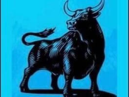 Marha vágóhídra munkatársakat keresünk