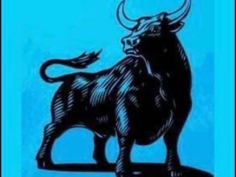 Marha vágóhídra munkatársakat keresünk