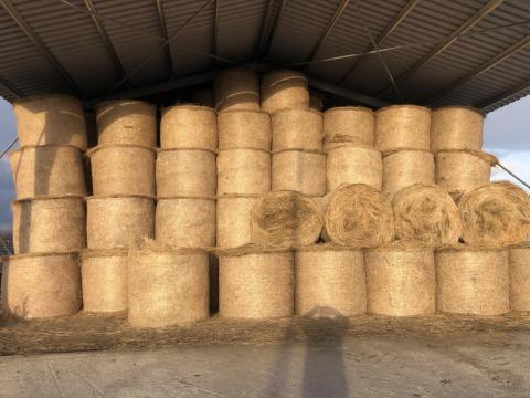 Eladó első osztályú, esőmentes, szín alatt tárolt széna bála 50 Ft/kg