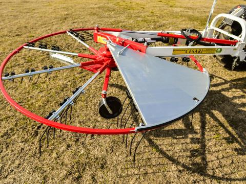 Cesari gallyseprűk Cesari gallyseprűk