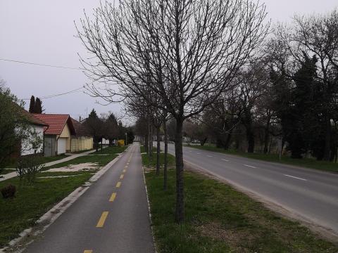 Erdőkezelés,  erdőgazdálkodási szaktanácsadás,  tervezés - teljes körű vizsgálat Erdőkezelés,  erdőgazdálkodási szaktanácsadás,  tervezés - teljes körű vizsgálat