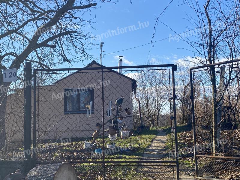 Állatgondozó, birtok karbantartó állás azonnali munkakezdéssel