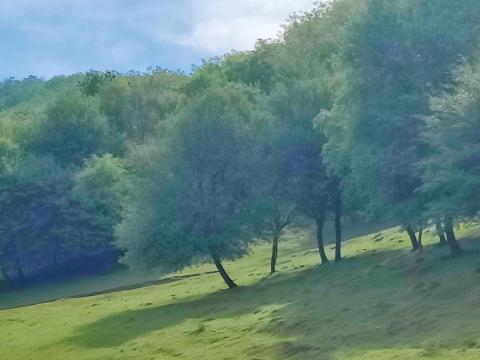 Mátrai külterületi tanya, vendégházak, vállalkozással együtt eladók, 6 ha