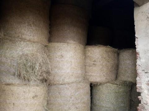 Körbálás réti széna