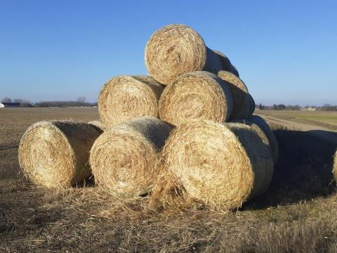 Szalma bála (120x145cm) körbála eladó,  rakodás,  esetleg szállítás megoldható