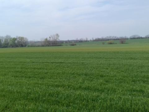 Szántóföldet bérelnék Szántóföldet bérelnék