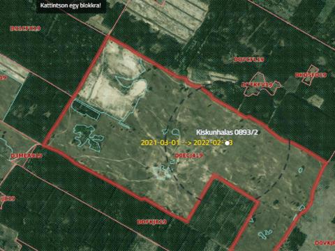 KISKUNHALAS KÜLTERÜLETÉN 55 HA LEGELŐ ELADÓ KISKUNHALAS KÜLTERÜLETÉN 55 HA LEGELŐ ELADÓ