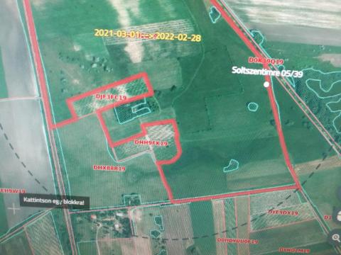 SOLTSZENTIMRE KÜLTERÜLETÉN 9 HA ERDŐ ELADÓ SOLTSZENTIMRE KÜLTERÜLETÉN 9 HA ERDŐ ELADÓ