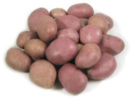 Vetőburgonya eladó – Bellarosa, UT1, közvetlenül a termelőtől