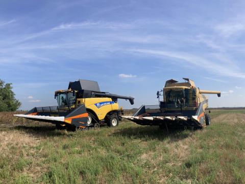 Mezőgazdasági bérmunka Boconád és 30km-es körzetében Mezőgazdasági bérmunka Boconád és 30km-es körzetében