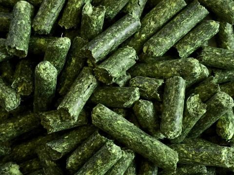 20 kg lucernapellet közvetlenül a gyártótól